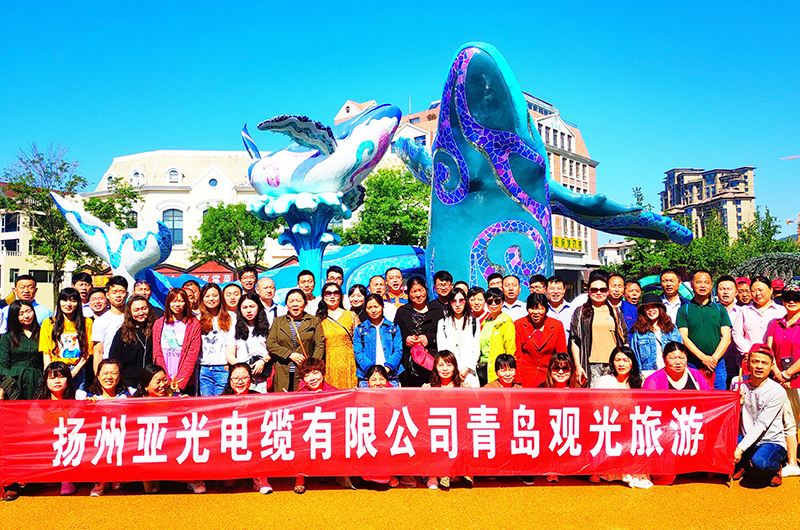 Yangzhou Yaguang Kablo Co, Ltd