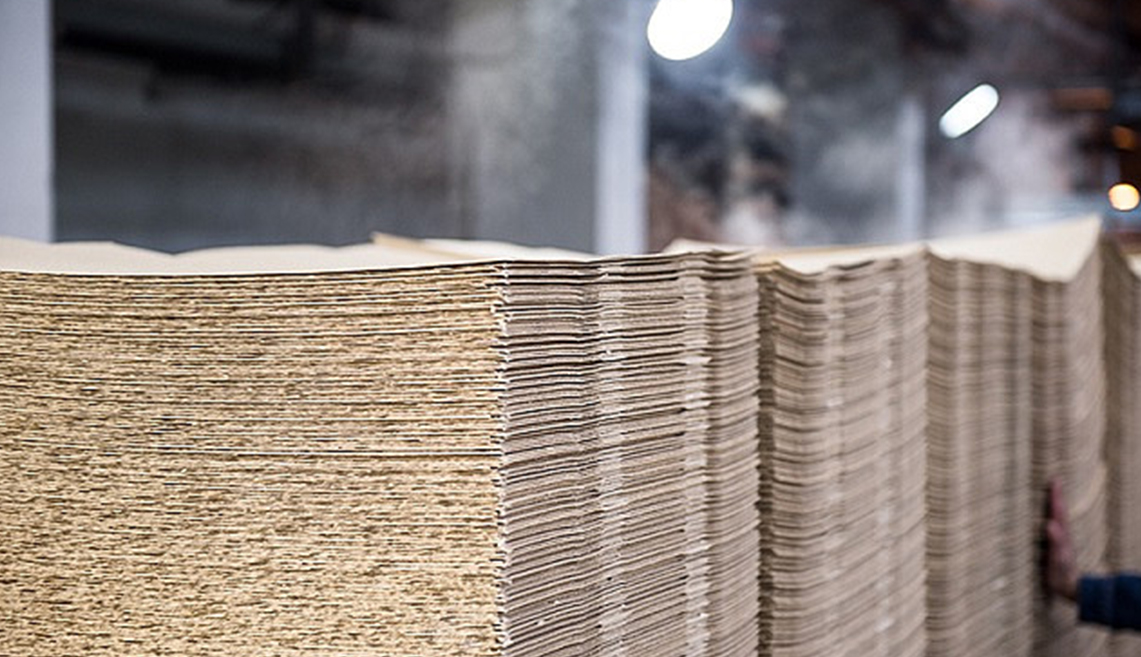 Shandong Rizhao Kağıt Hamuru Projesi