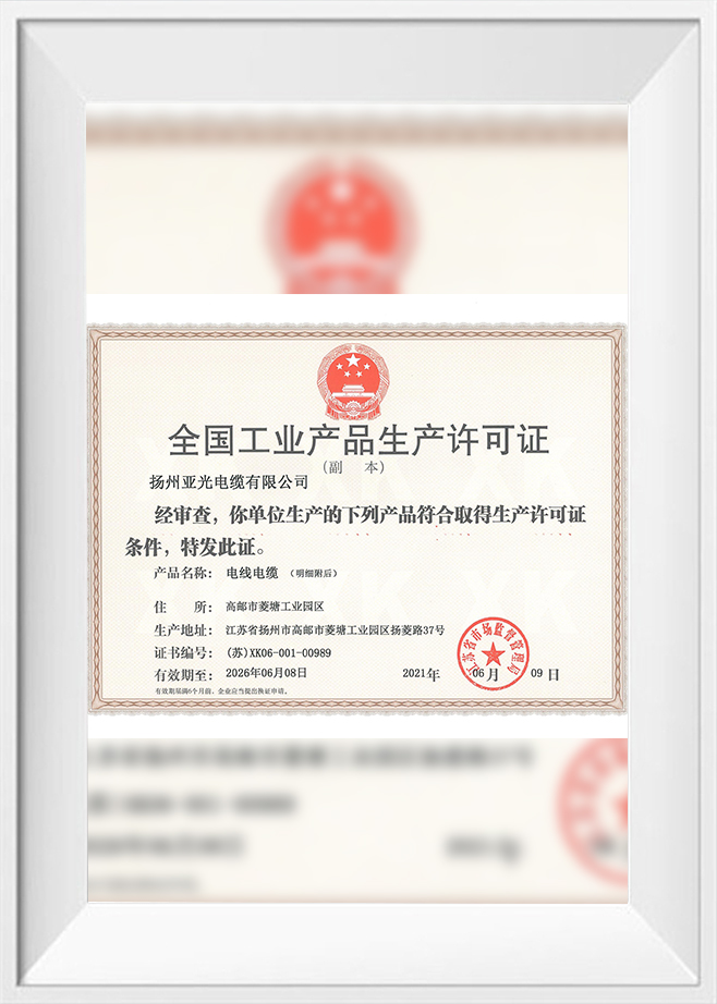 2021 Üretim Lisansı